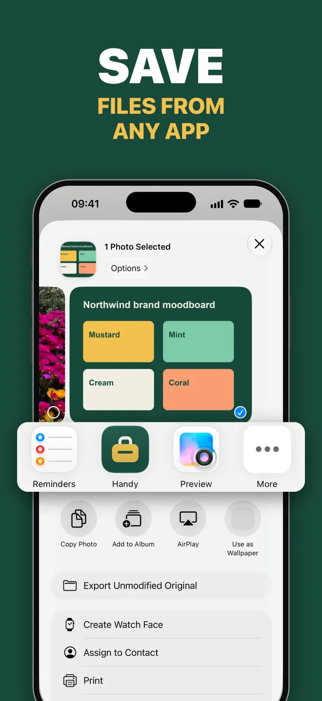 Save files from any app: Handy in the iOS share sheet with a photo selected.